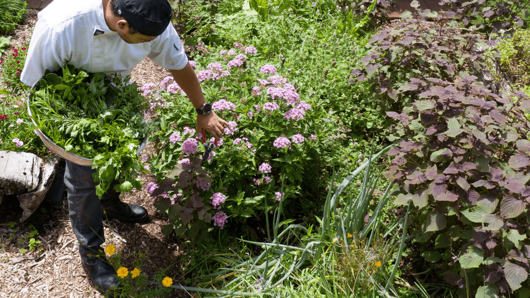 Increase vitality with our detox guide - Gwinganna Lifestyle Retreat