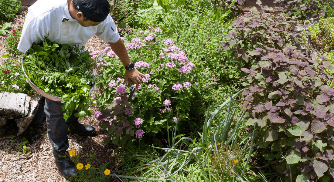 Increase vitality with our detox guide - Gwinganna Lifestyle Retreat