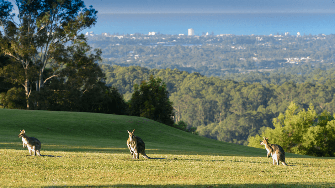 Maintaining optimal health throughout winter - Gwinganna Lifestyle Retreat