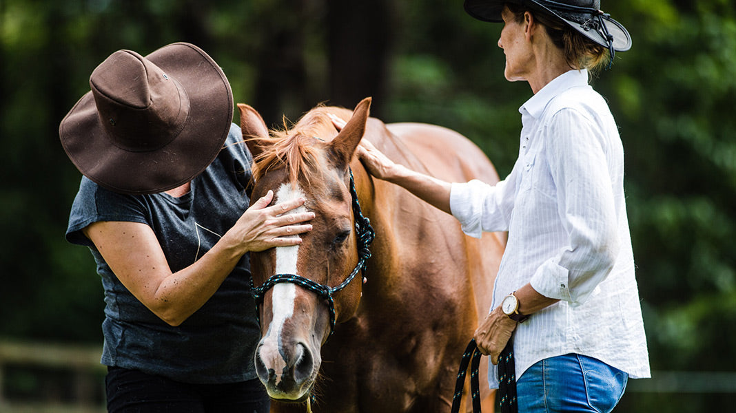 Self-discovery with equine therapy