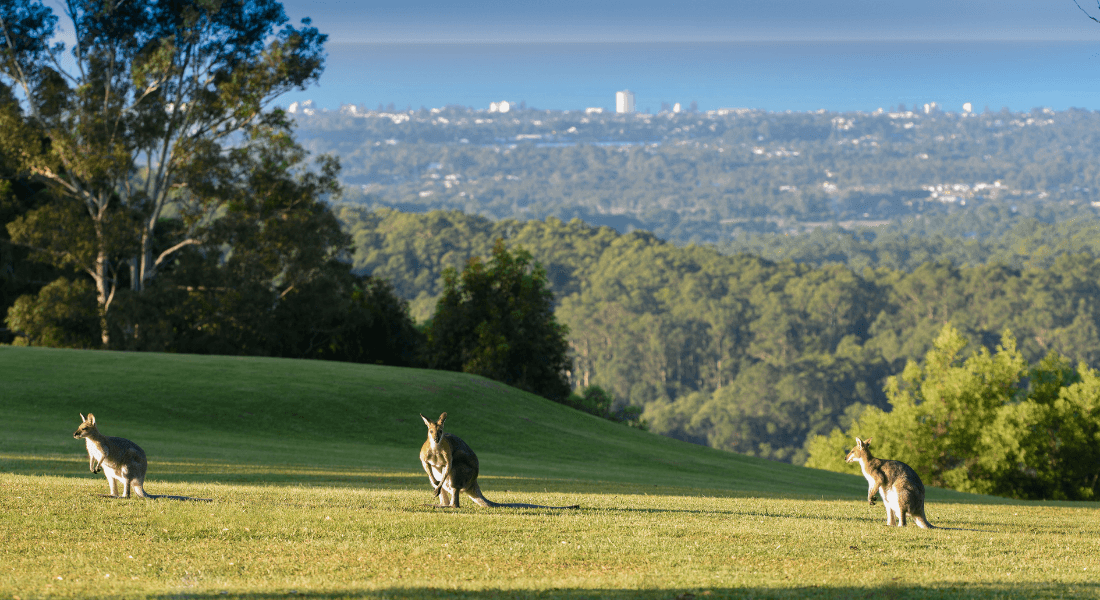 Maintaining optimal health throughout winter - Gwinganna Lifestyle Retreat