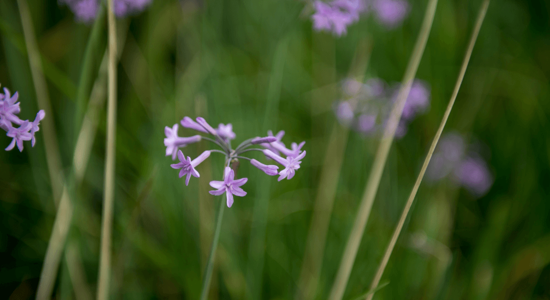 Maintain your brain: Mobility, memory and mood - Gwinganna Lifestyle Retreat