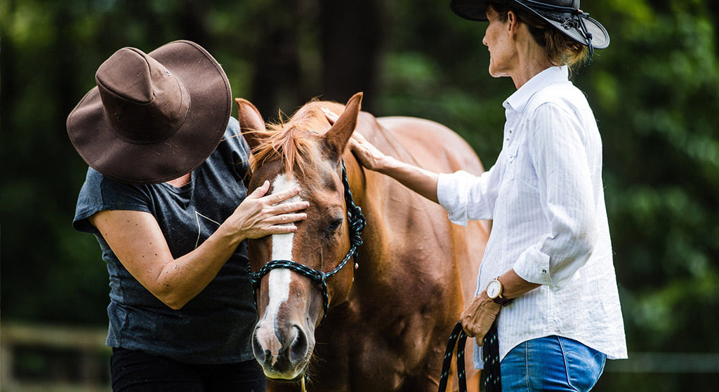 Self-discovery with equine therapy