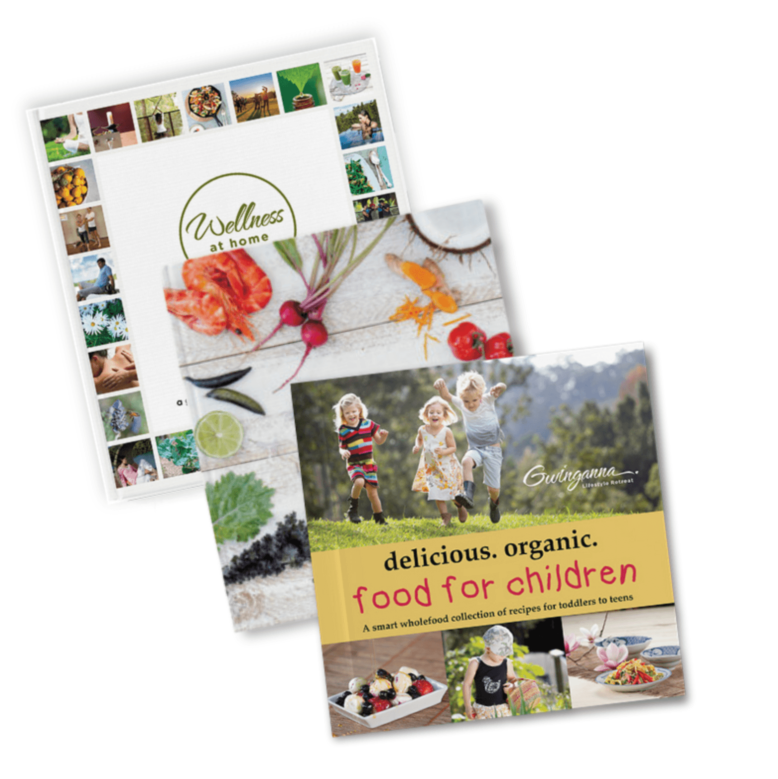 SAVE! 3 book bundle - 'delicious. organic. food for children', 'Wellness at Home' and ‘a taste of gwinganna’ - Gwinganna Lifestyle Retreat